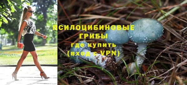 Альфа ПВП Алзамай