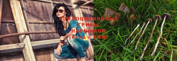 Альфа ПВП Аркадак