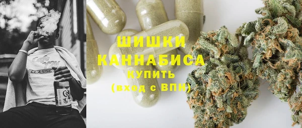 Альфа ПВП Алзамай