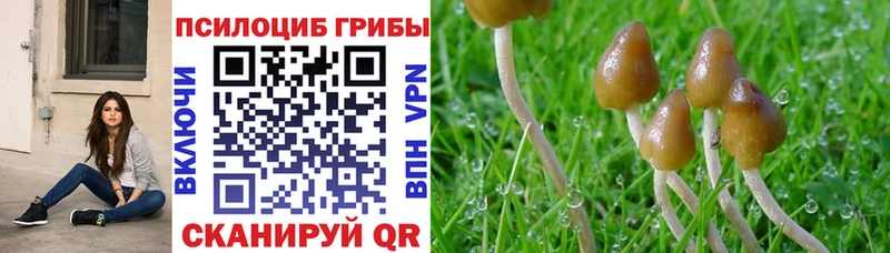 Псилоцибиновые грибы мицелий  продажа наркотиков  Сосенский 